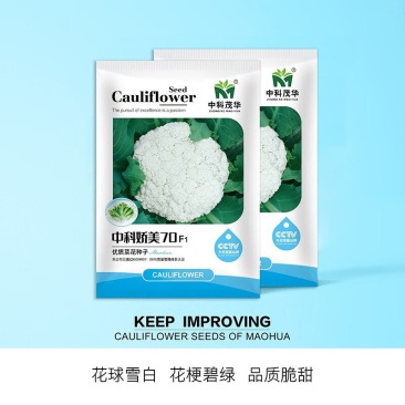 中科娇美70松花菜种子
