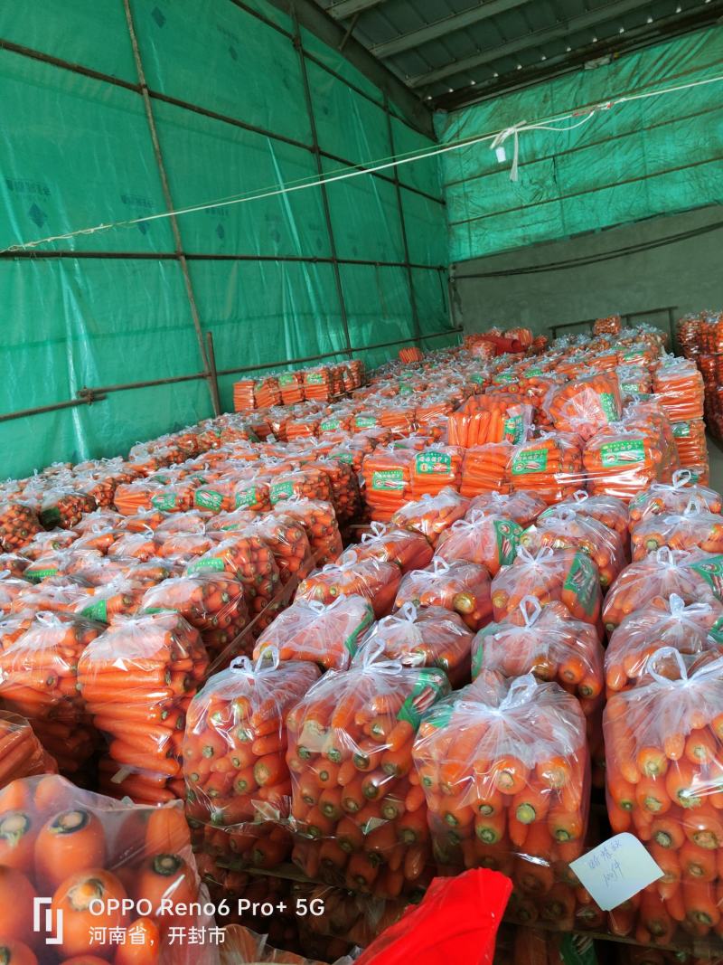 胡萝卜精品大红产地直发供应各大平台全国发货