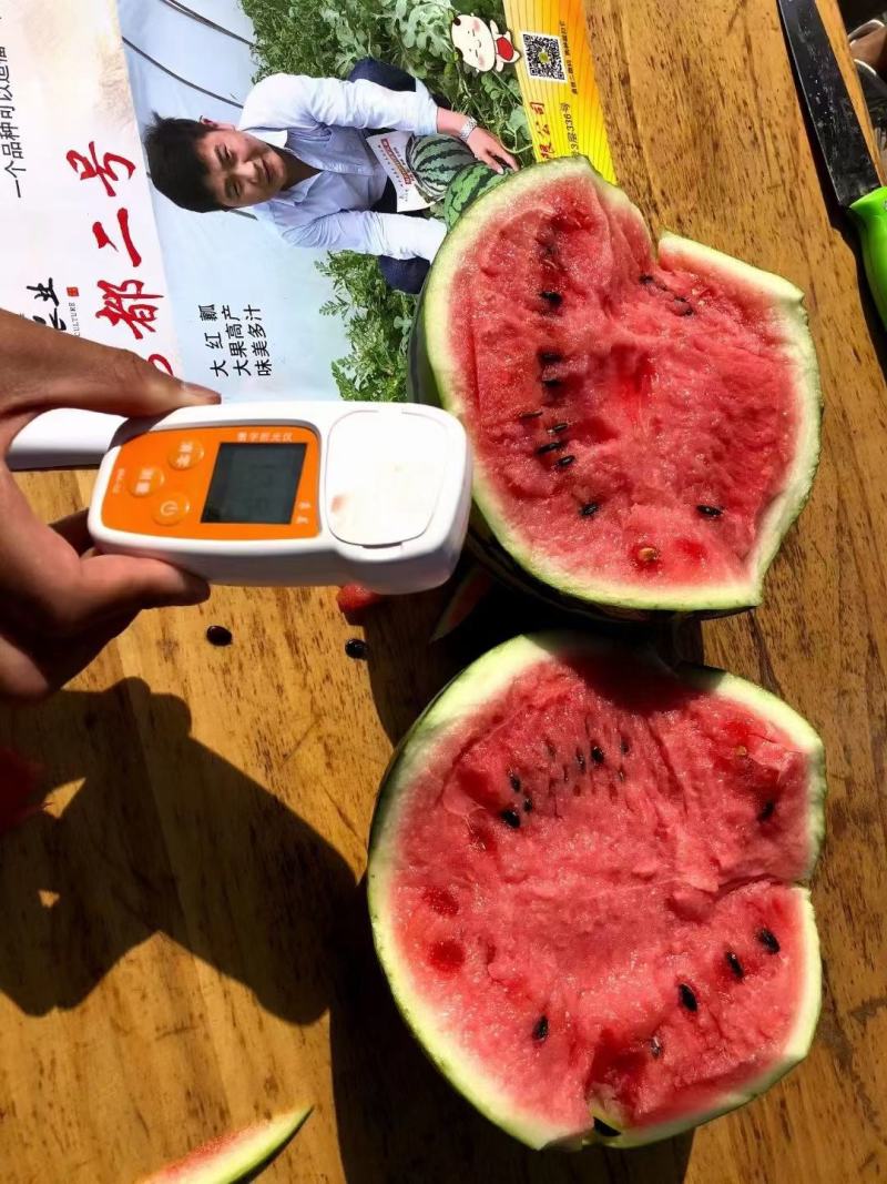 秀都二号西瓜种子大红瓤瓜个大酥脆易管理耐裂性好经济效益高
