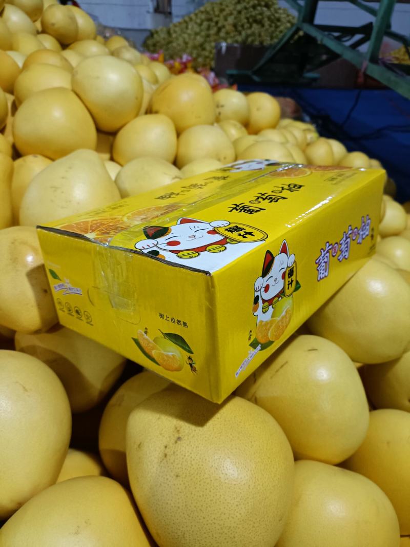 福建爆汁款葡萄柚，汁水充足，一款水果饮料