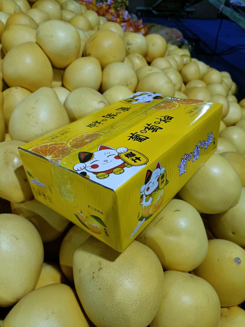 福建爆汁款葡萄柚，汁水充足，一款水果饮料