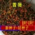 蔷薇种子多花蔷薇爬藤四季播种不断开花绿植盆栽花卉赛月季种
