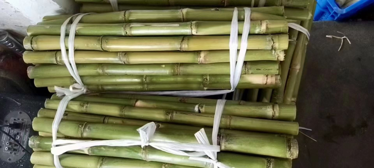 市场售卖青甘蔗