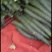 【推荐】徐闻县精品黄瓜，货量大，品质好，可走整车批发
