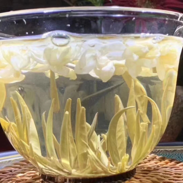 广西横州市茉莉花茶金针王飘雪浓香型花茶六窨茉莉花茶