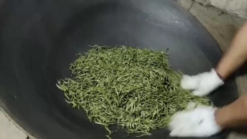 【普洱茶】正宗老寨班章古树茶一手货源量大从优欢迎咨询