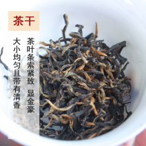 2023年英德红茶英红九号花果香红茶冬茶