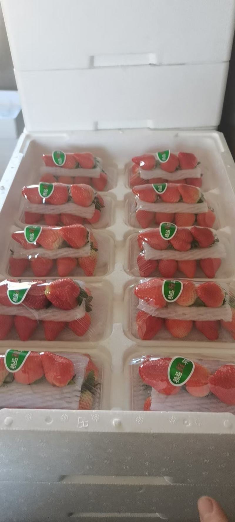 大量批发草莓，需要的货主及时联系