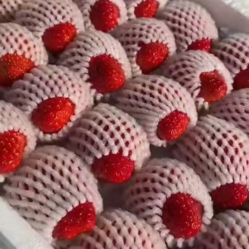 大量批发草莓，需要的货主及时联系