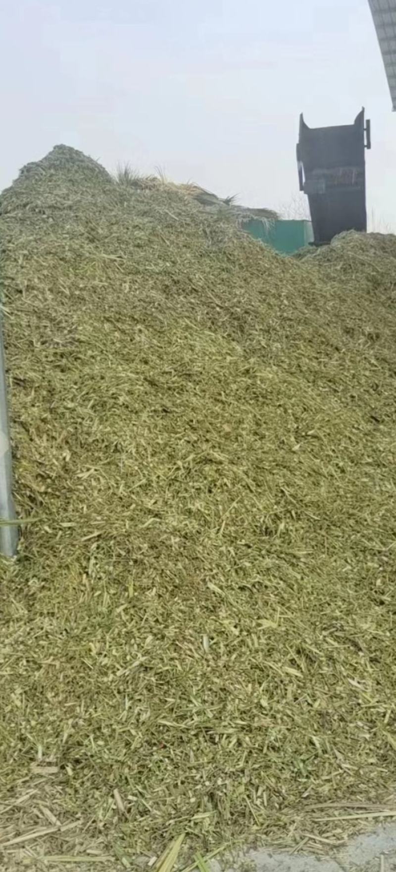 青贮饲料