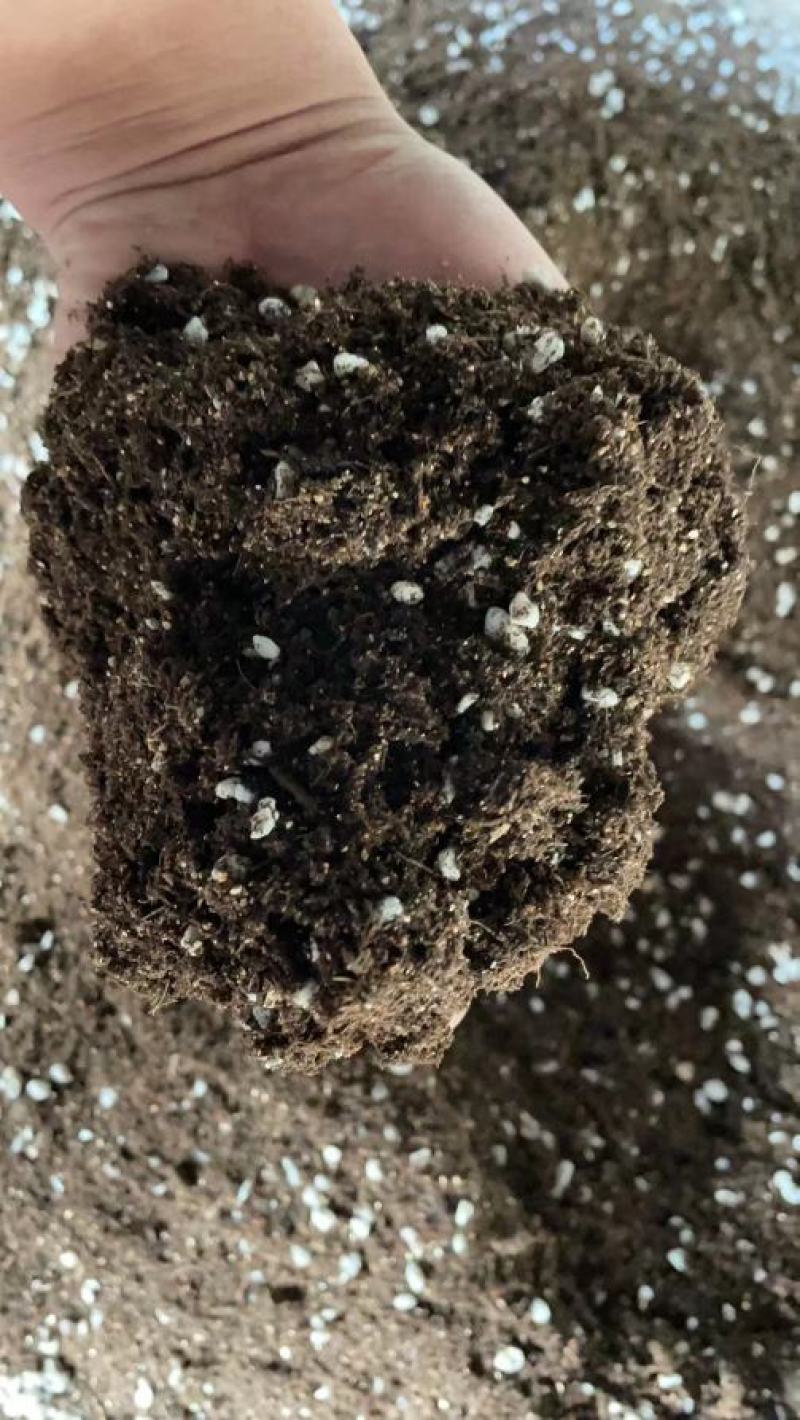 育苗基质，瓜果蔬菜、草莓林木花卉多肉植物营养土！厂家直销