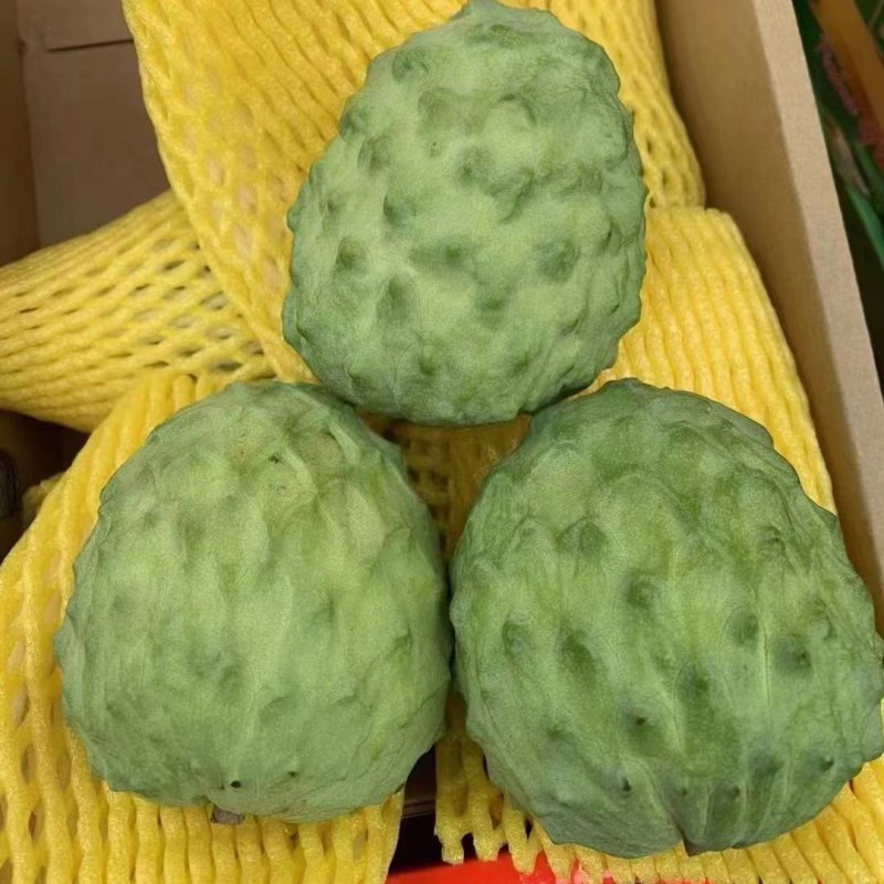 释迦果，大量上市，果皮漂亮，果皮干净，甜度够