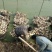 新35莲藕洪湖莲藕量大从优产地直发货品质量有保障
