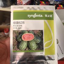 绿裳628西瓜种子进口品种6Kg皮坚韧果实饱满经济效益高