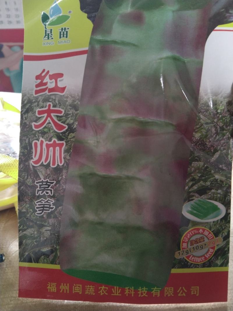 莴笋苗大量上市质量保证量大价优