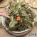 云南野生中药材地丁紫花地丁苦地丁茶新鲜干货500