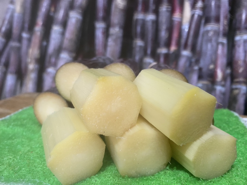 展示黑皮甘蔗的横截面,内部纤维分布均匀,汁液丰富,颜色呈乳白色或浅黄色 黑皮甘蔗横截面展示