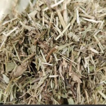 花生秧