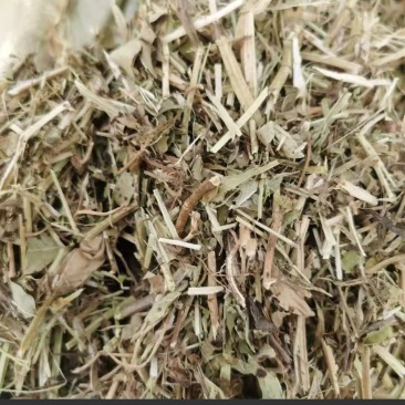 花生秧