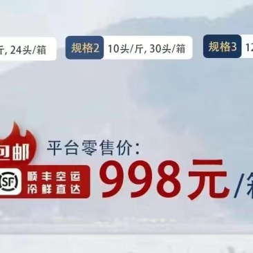 海里王-鲜食海参有8头,10头,12头/斤的规格可供选择