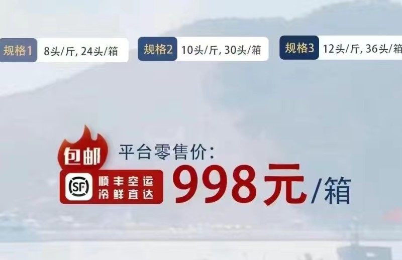 海里王-鲜食海参有8头,10头,12头/斤的规格可供选择