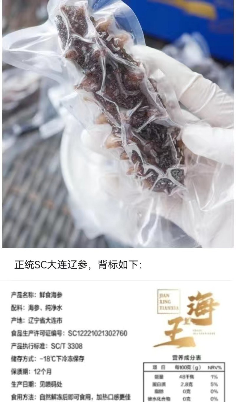 海里王-鲜食海参有8头,10头,12头/斤的规格可供选择