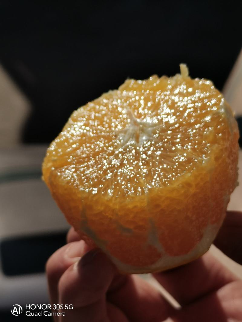 供应赣南脐橙，原生态，