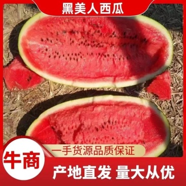 本地黑美人大量上市中,有电商专用四斤起小瓜,走市场品质保障