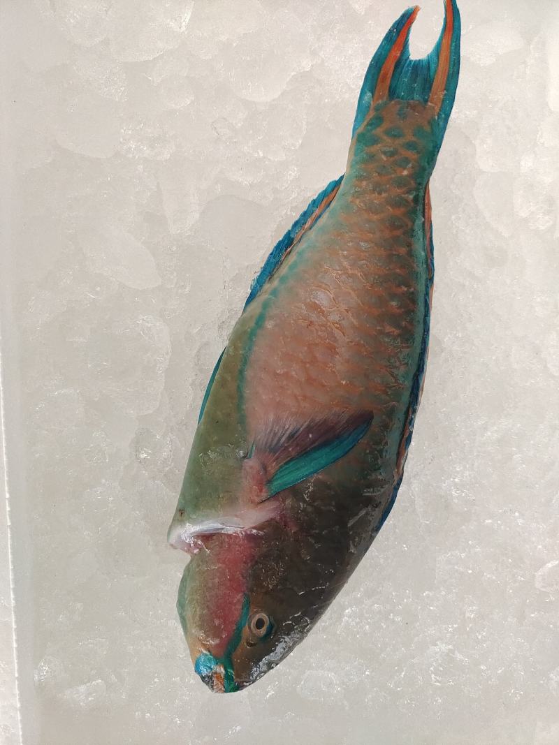 海鲜大礼包批发，海丰佳（家）宴C套餐，福兔贺岁海鲜礼包，