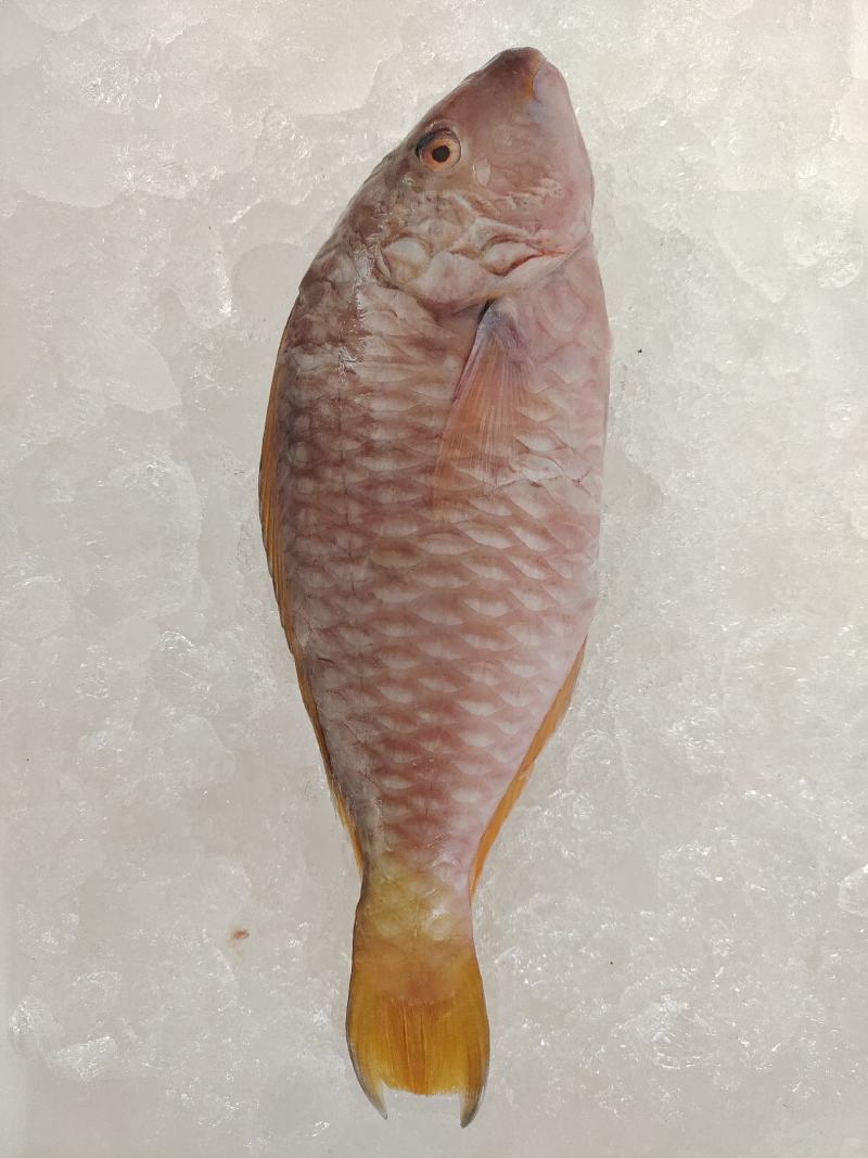 海鲜大礼包批发，海丰佳（家）宴C套餐，福兔贺岁海鲜礼包，