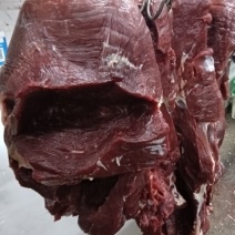 每日新鲜黄牛肉！！！