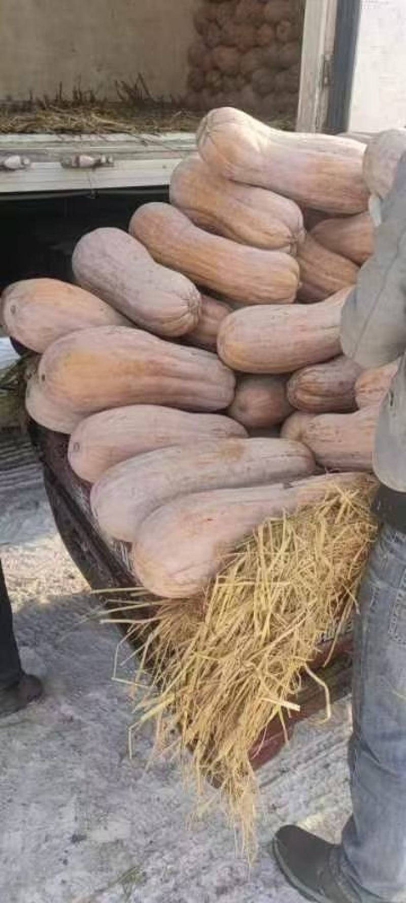 南瓜