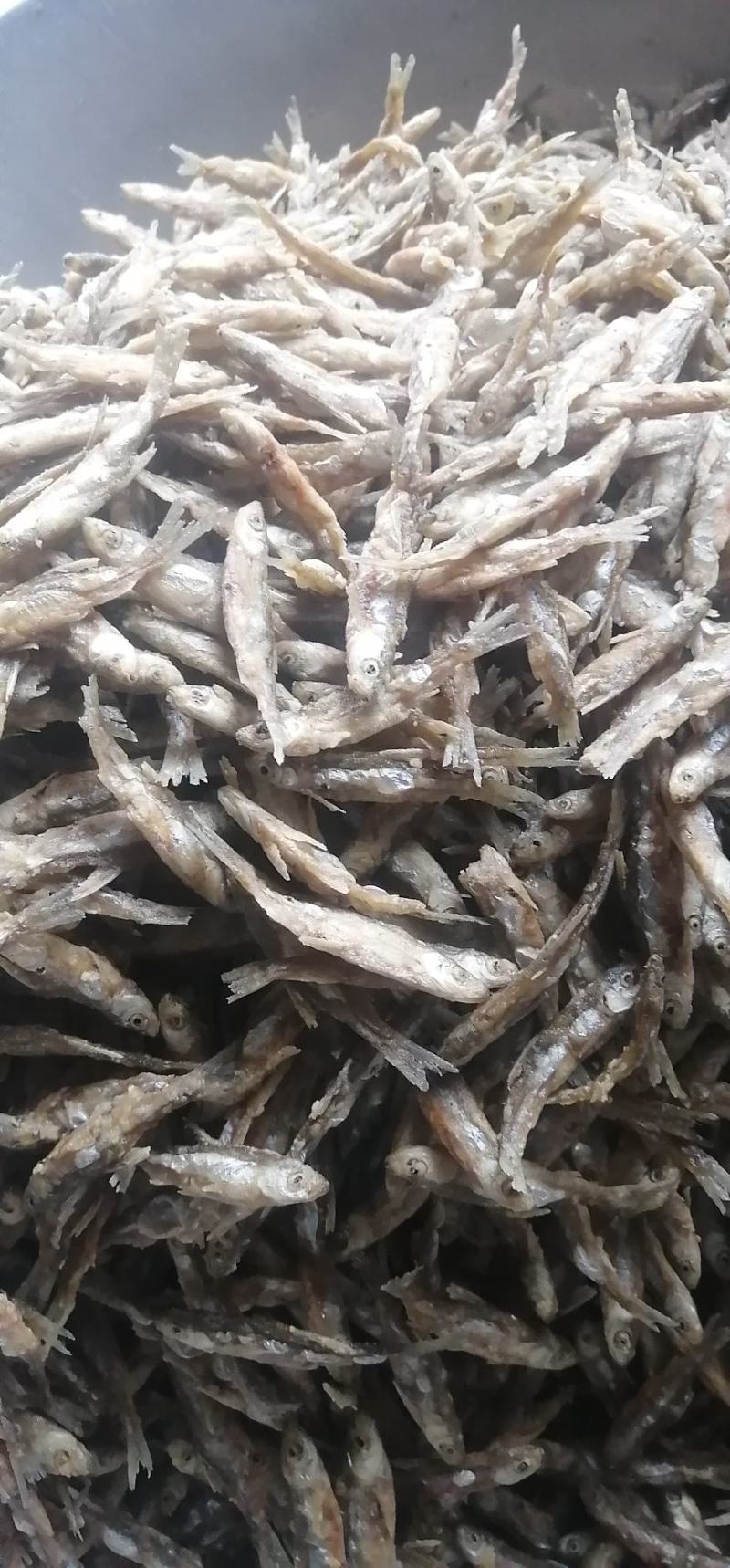 面粉鱼3到6公分中小规格