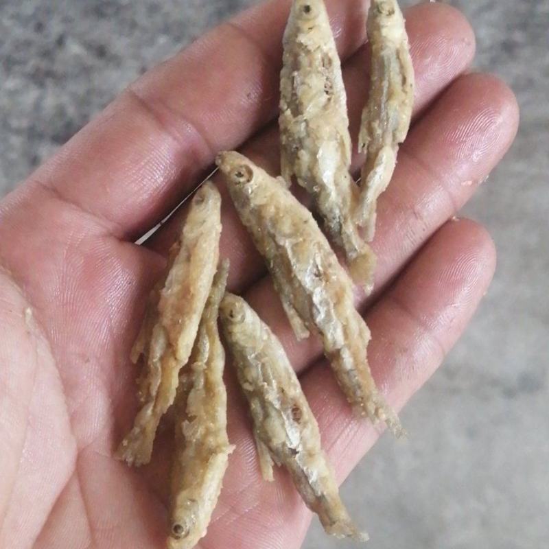 面粉鱼3到6公分中小规格