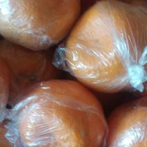 衢州市，衢江区碰柑，胡柚正在促销中，欢迎新老客户前来选购