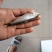 大嘴马口白鱼桃花鱼马口大嘴白鱼鲫鱼草鱼