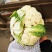松花菜河南有机花菜代收代发代加工货源足