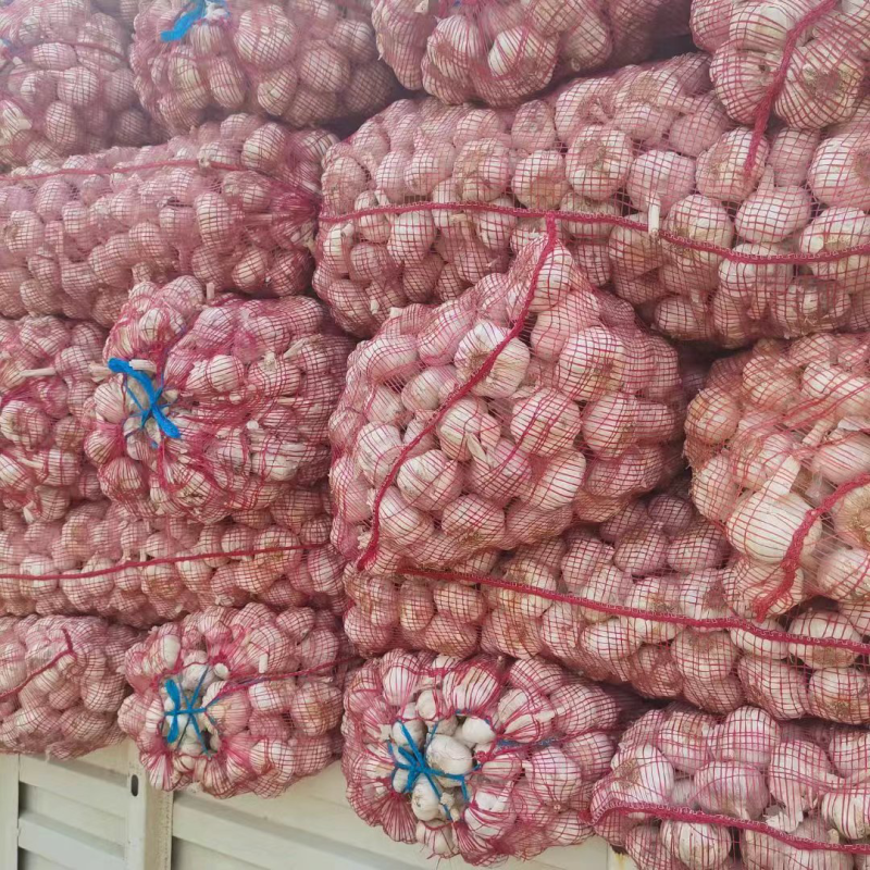 【实力推荐】紫皮大蒜红皮大蒜商超电商规格齐全量大