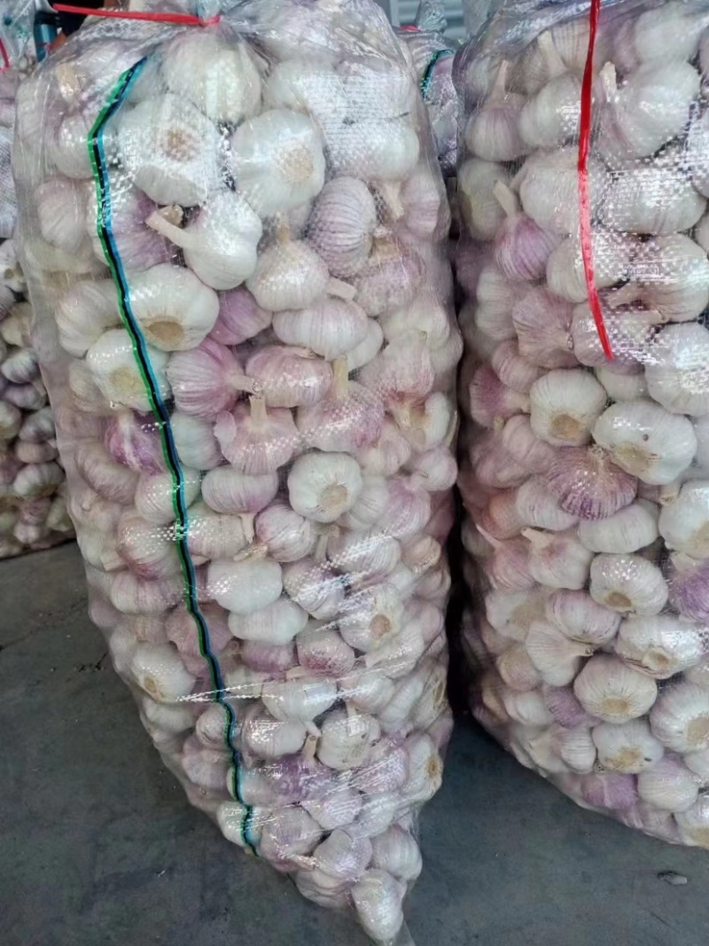 【实力推荐】紫皮大蒜红皮大蒜商超电商规格齐全量大