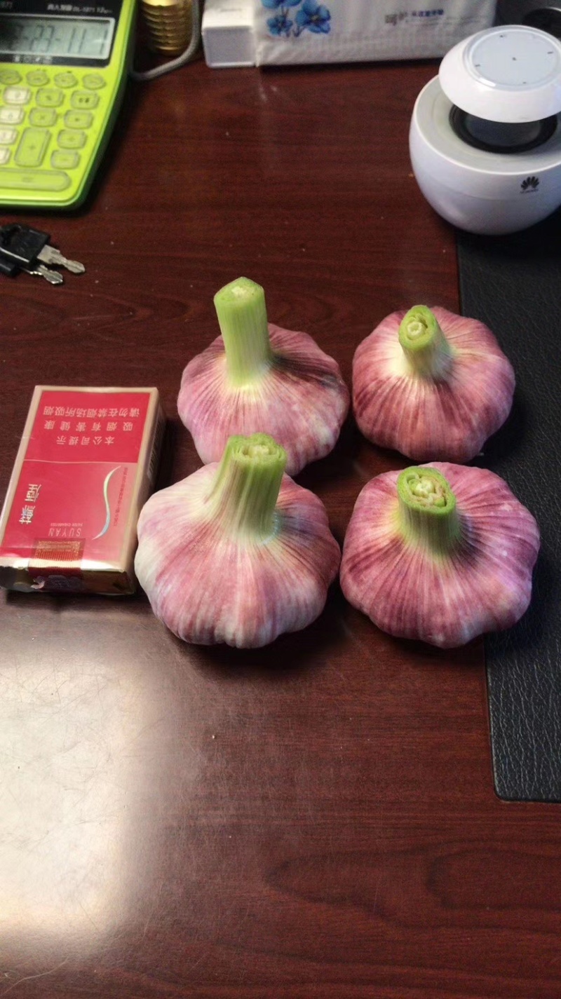 【热卖中】精品鲜蒜头，把子蒜扒皮蒜产地直供电商商超