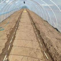 玻璃纤维拱棚杆，适用于农业各类保暖拱棚杆，长度可定制。