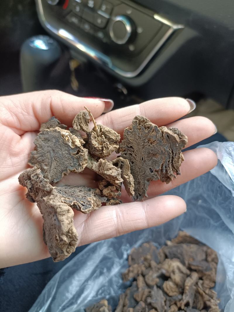 玄参片子通货现货批发零售