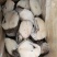 深海鳕鱼鳕鱼沫鳕鱼片