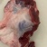 国产不水筋少肉多牛窝骨质量保证价格实惠批发价全国发