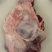 国产不水筋少肉多牛窝骨质量保证价格实惠批发价全国发