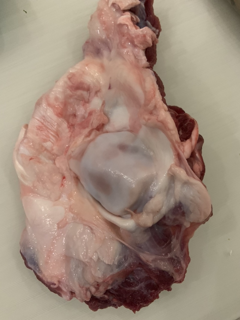 国产不水筋少肉多牛窝骨质量保证价格实惠批发价全国发