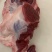 国产不水筋少肉多牛窝骨质量保证价格实惠批发价全国发