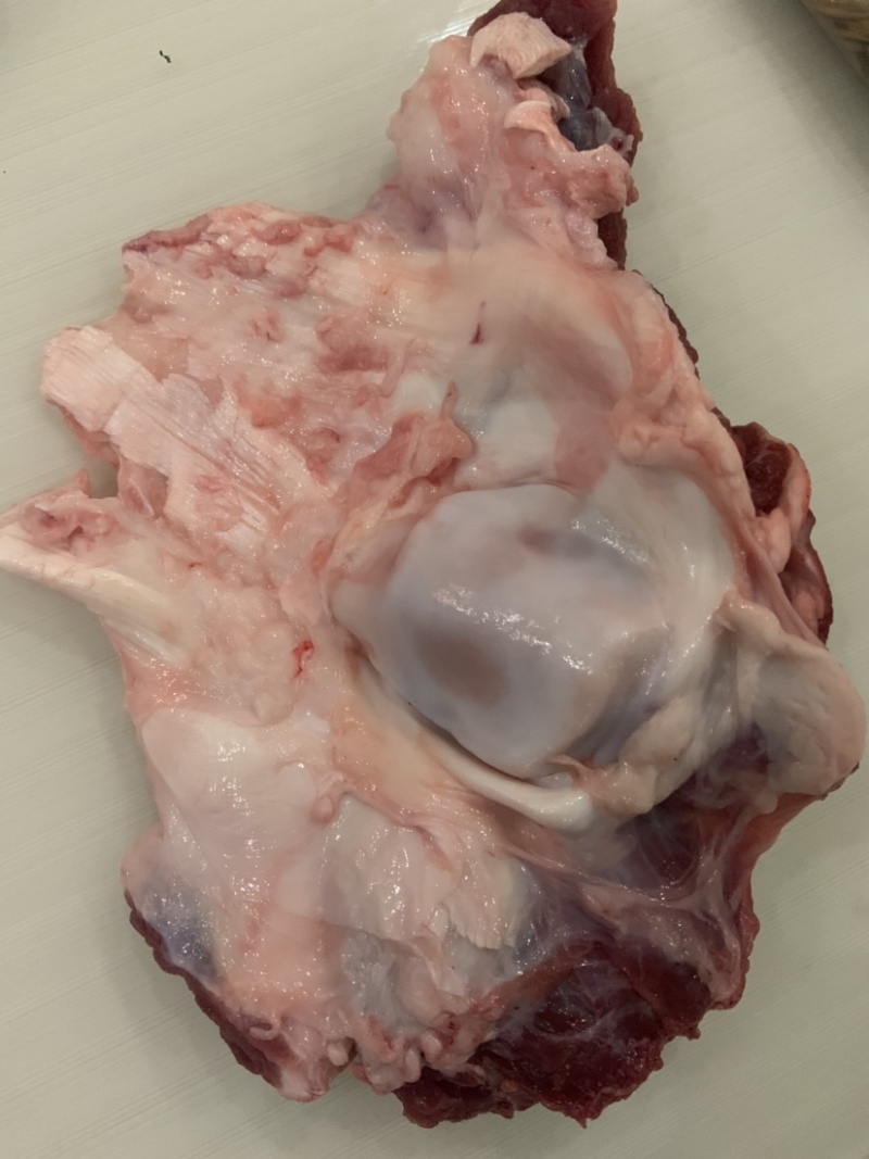 国产不水筋少肉多牛窝骨质量保证价格实惠批发价全国发