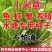 小米草种子养殖水草鱼虾蟹雀叶稗湖南稷子牧草种子水草喂鱼