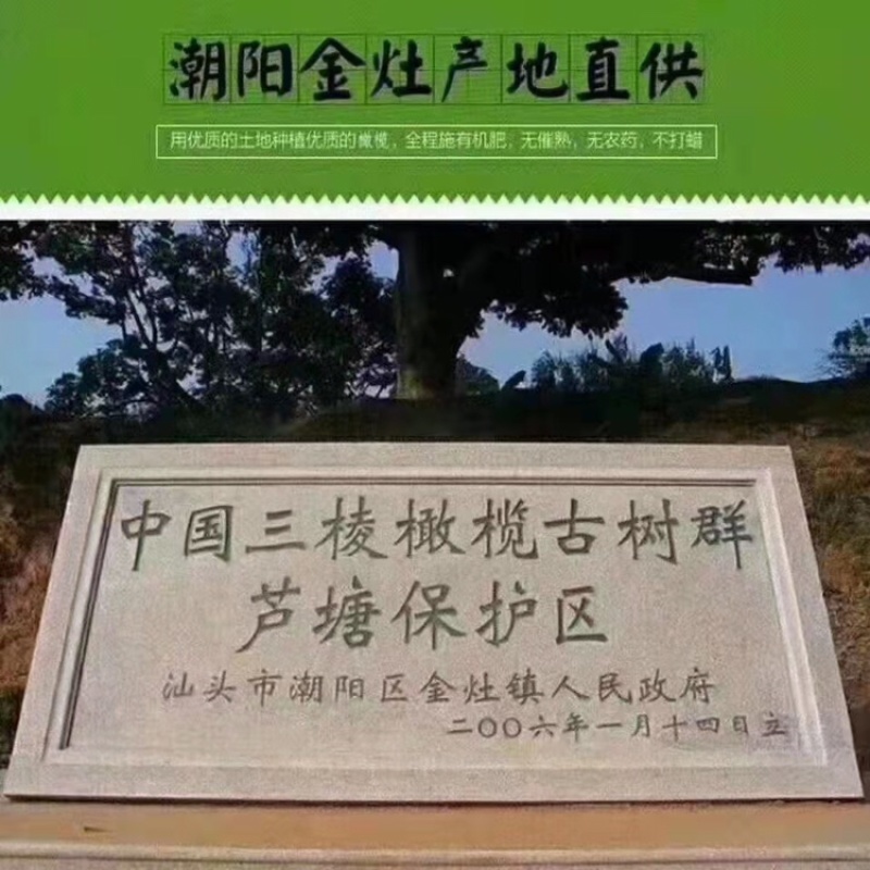 全国网红热销微电商各种产品橄榄应有尽有产地直接对接